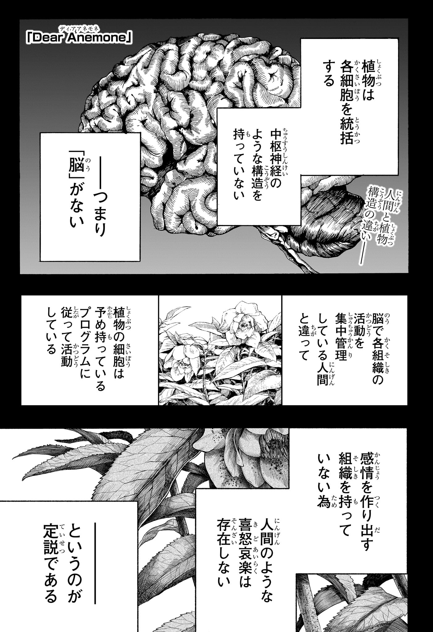 ディアーアネモネ 第7話 - Page 1