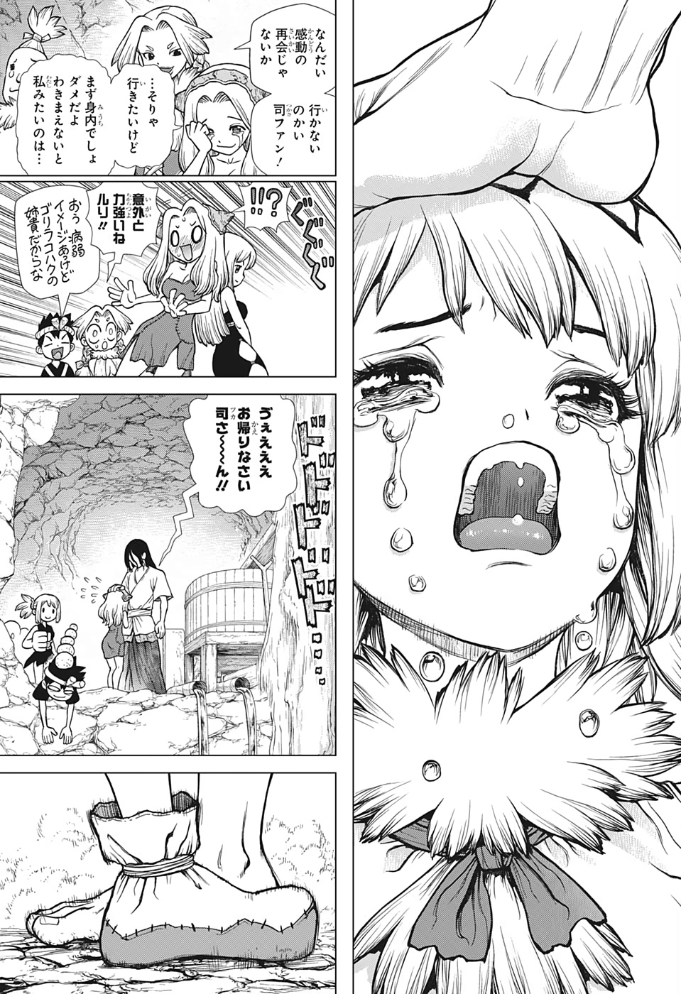 ドクターストーン 第141話 - Page 13