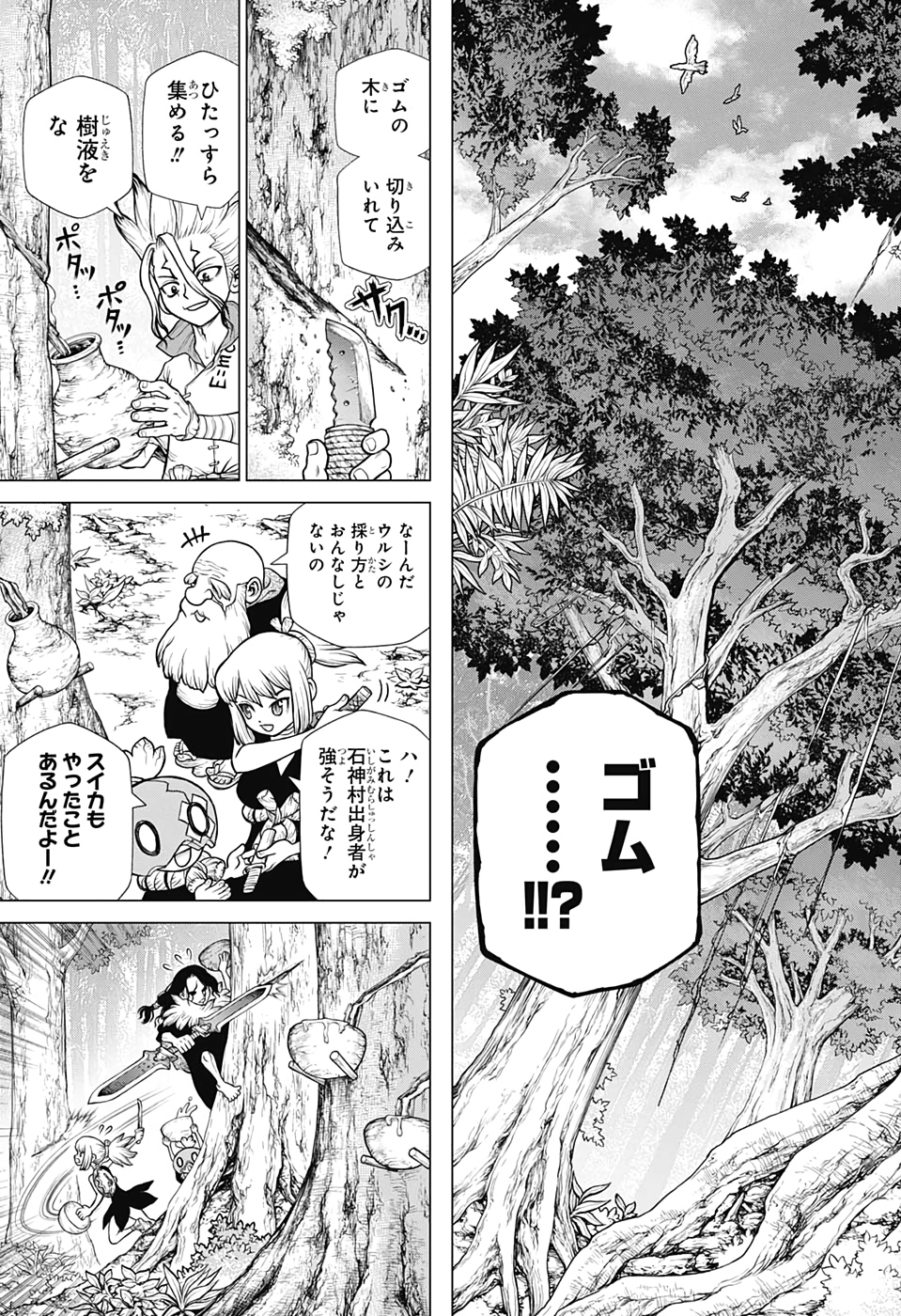 ドクターストーン 第174話 - Page 13