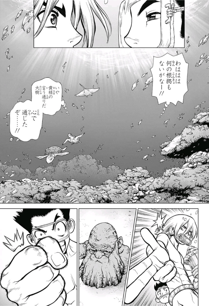 ドクターストーン 第118話 - Page 17