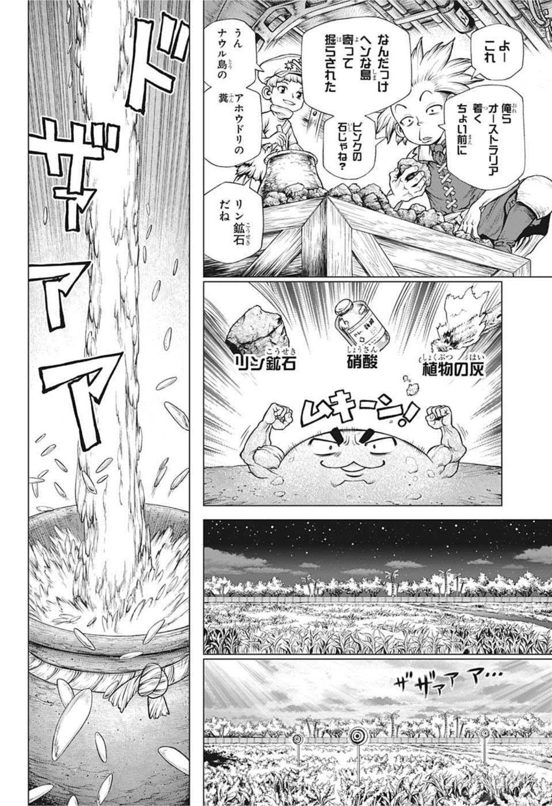 ドクターストーン 第211話 - Page 14