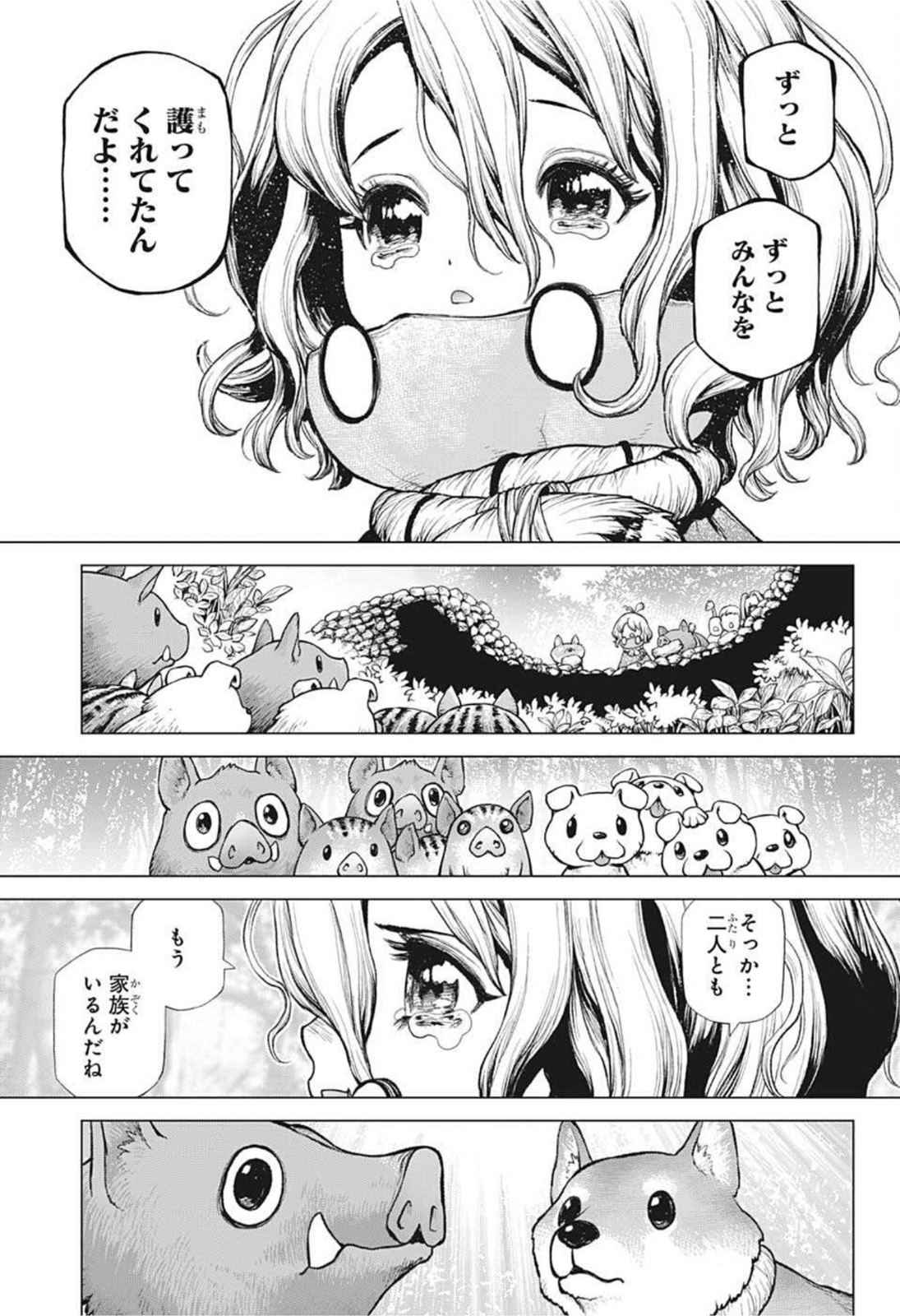 ドクターストーン 第212話 - Page 14