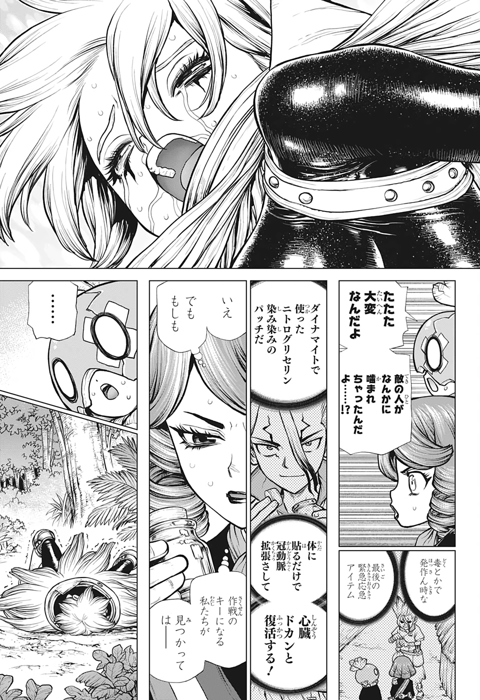 ドクターストーン 第185話 - Page 15