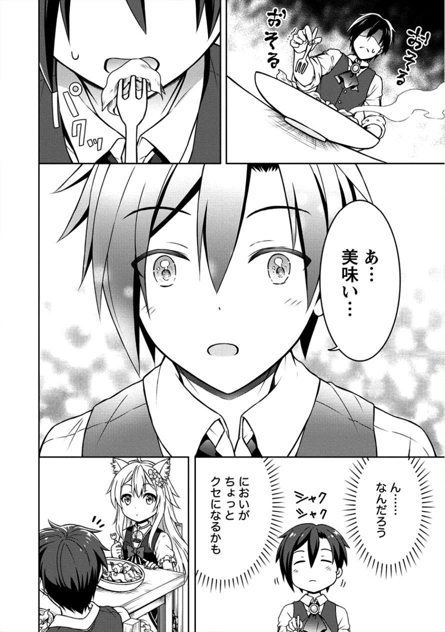 チート薬師のスローライフ ​異世界に作ろうドラッグストア 第7話 - Page 20