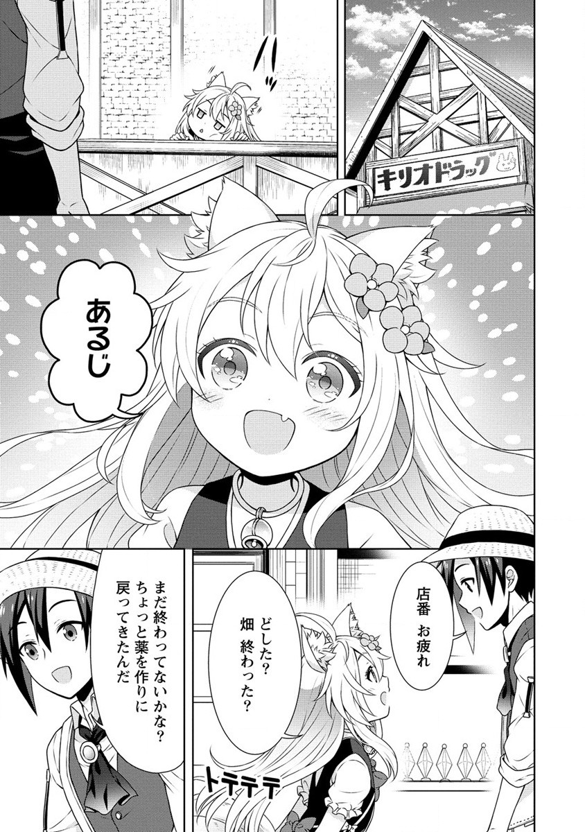 チート薬師のスローライフ ​異世界に作ろうドラッグストア 第36話 - Page 17