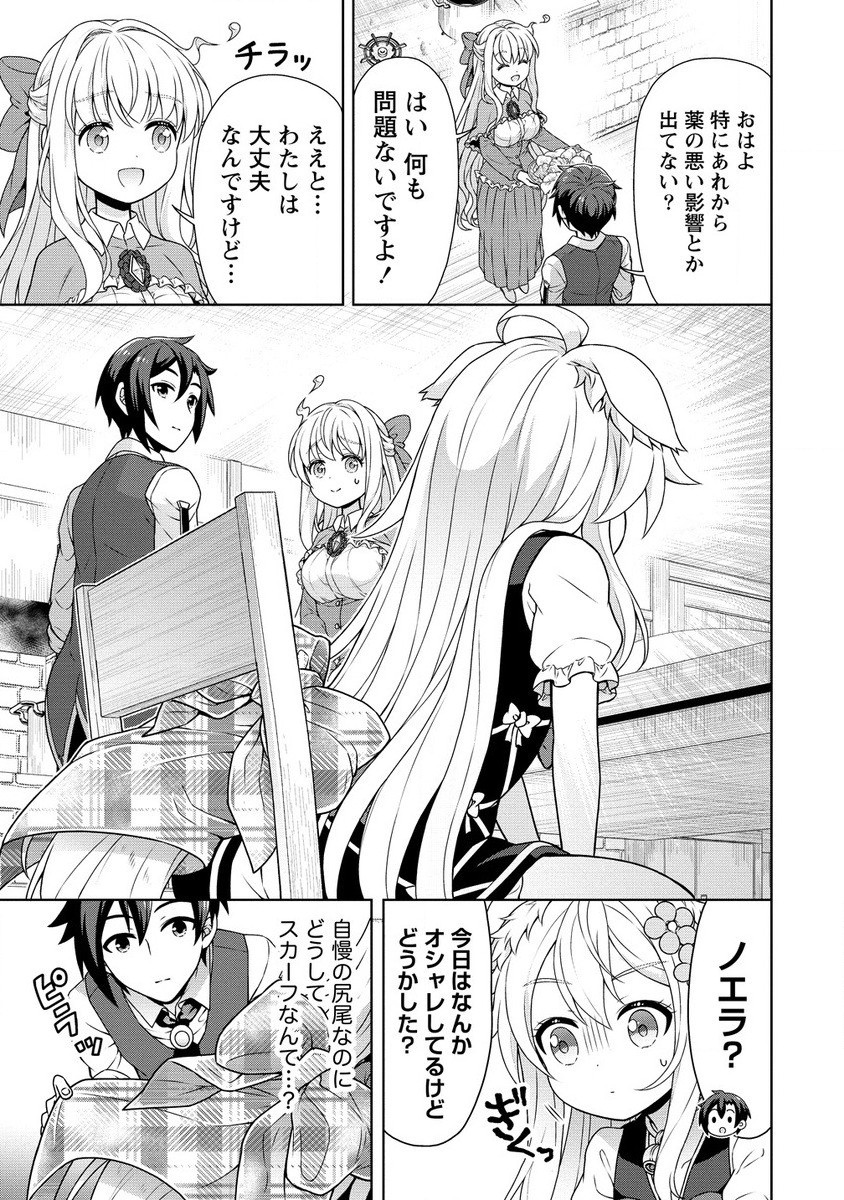 チート薬師のスローライフ ​異世界に作ろうドラッグストア 第56.2話 - Page 6