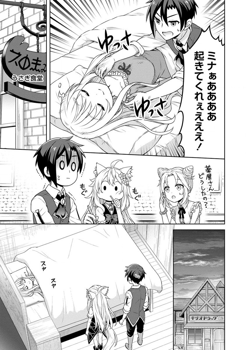 チート薬師のスローライフ ​異世界に作ろうドラッグストア 第53話 - Page 13