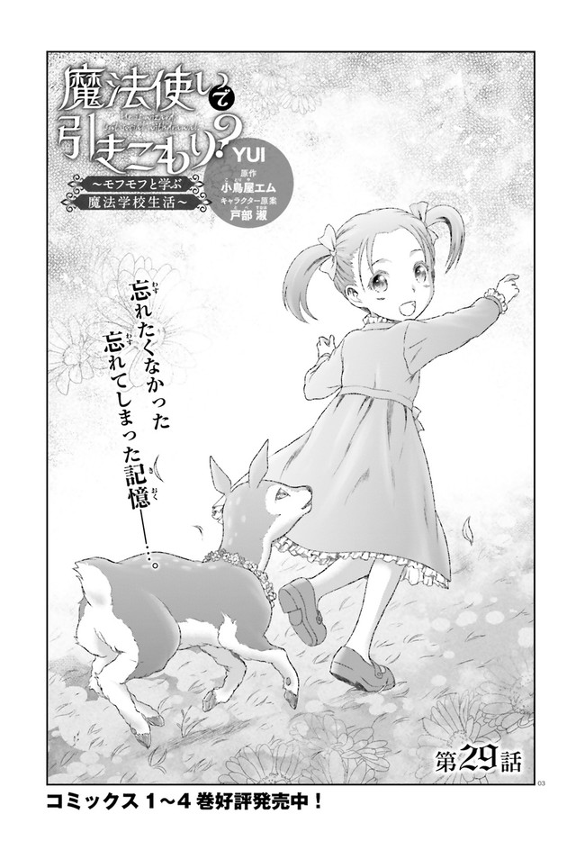 魔法使いで引きこもり？ ～モフモフ以外とも心を通わせよう物語～ 第29話 - Page 3