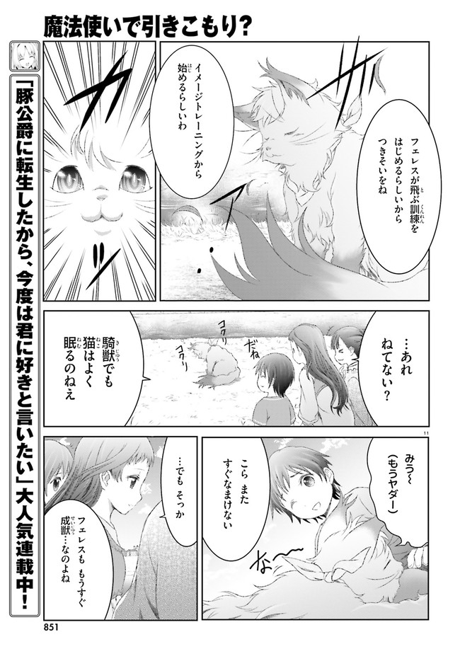 魔法使いで引きこもり？ ～モフモフ以外とも心を通わせよう物語～ 第27話 - Page 11