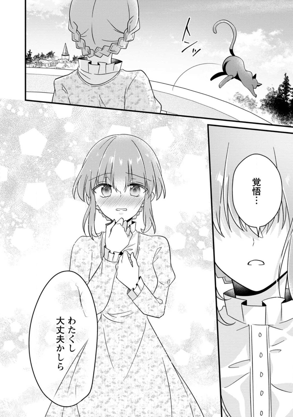 地味姫と黒猫の、円満な婚約破棄 第23.3話 - Page 9