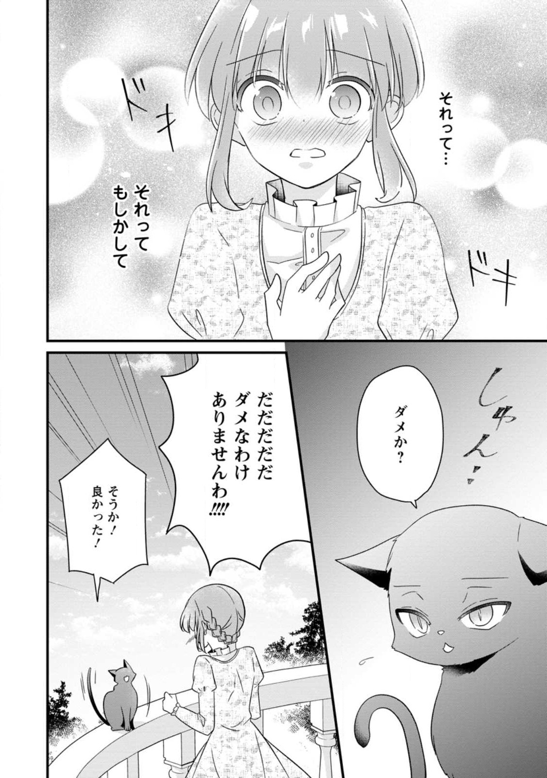 地味姫と黒猫の、円満な婚約破棄 第23.3話 - Page 5