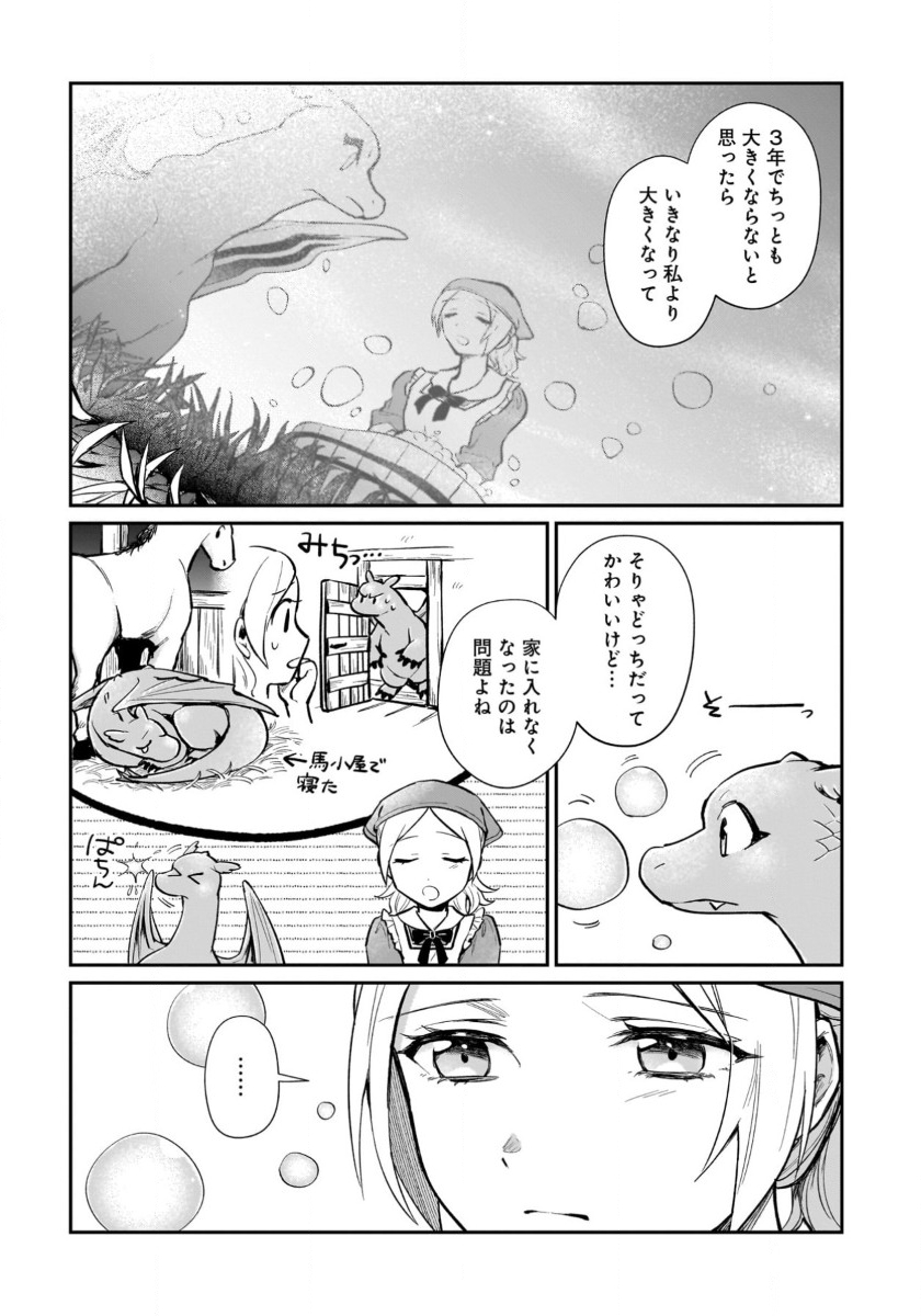 竜の子を産んだら離縁されたので森で隠居することにしました 第14話 - Page 4