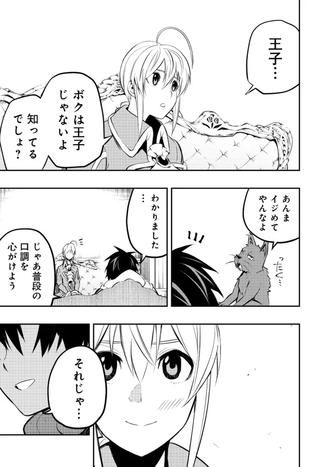 英雄魔術師はのんびり暮らしたい＠ＣＯＭＩＣ 第17話 - Page 25