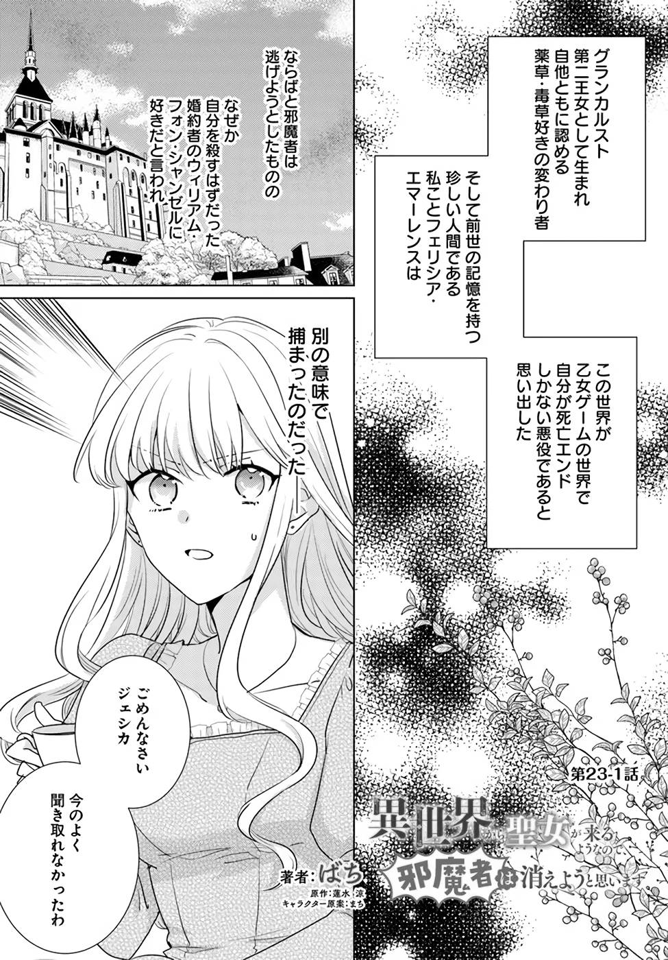 異世界から聖女が来るようなので、邪魔者は消えようと思います 第23話 - Next 第24話