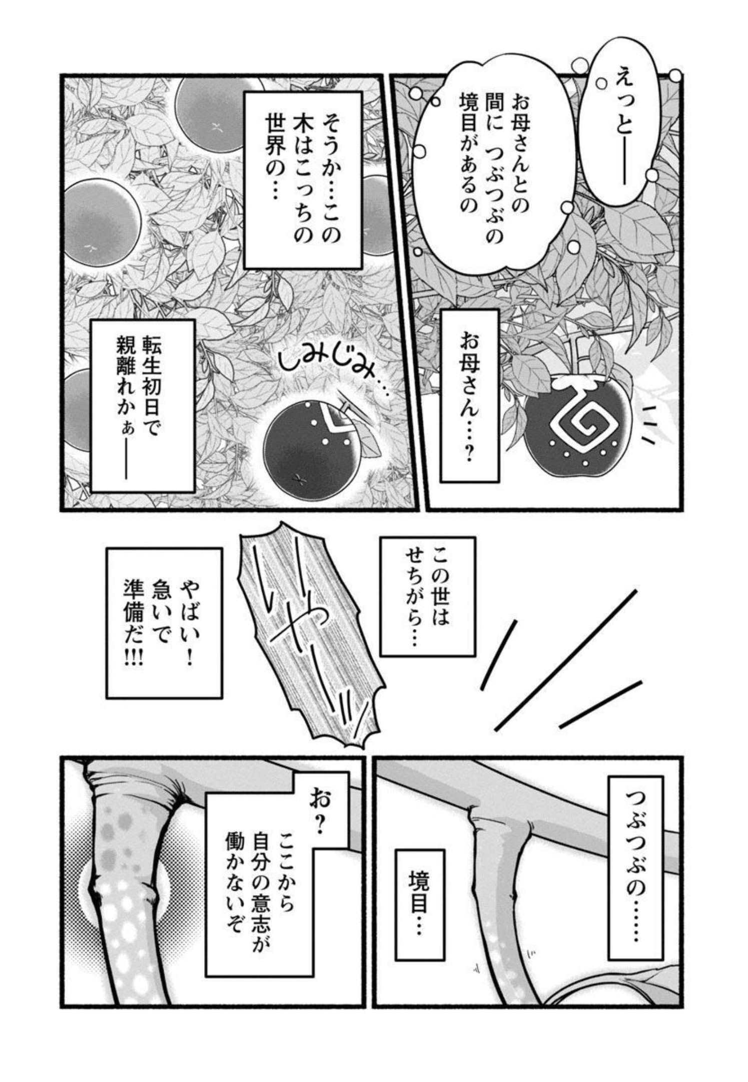 林檎転生 禁断の果実は今日もコロコロと無双する 第3話 - Page 9