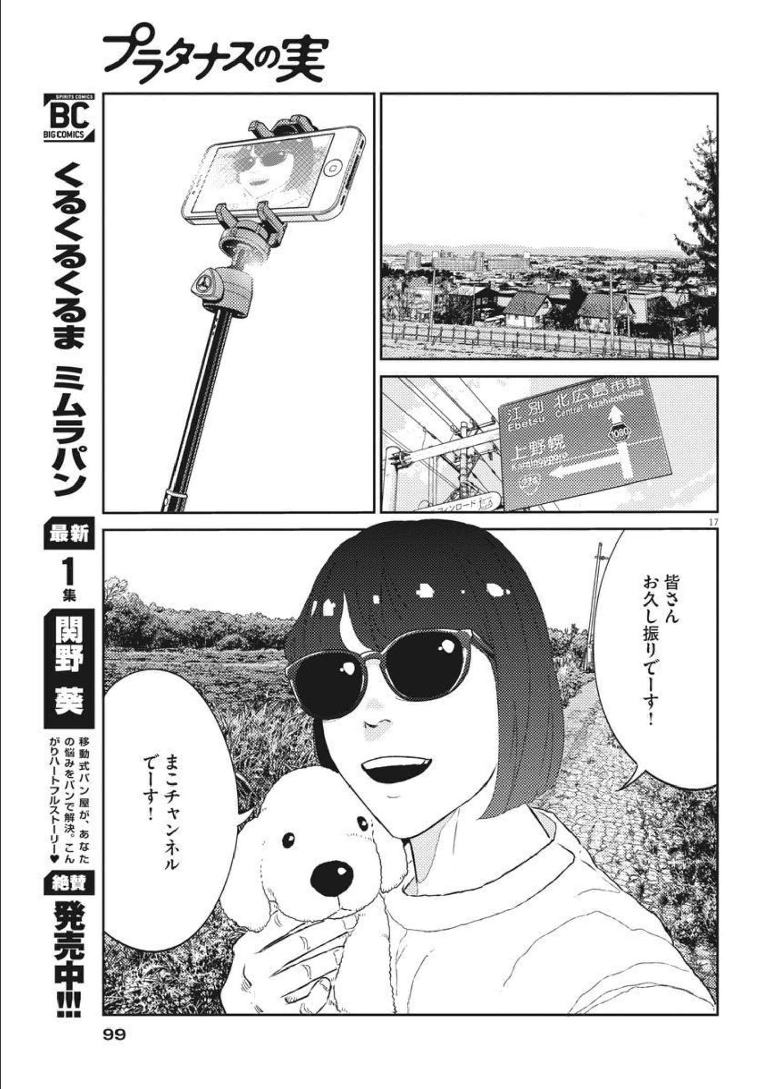 プラタナスの実−小児科医療チャンネル− 第41話 - Page 17