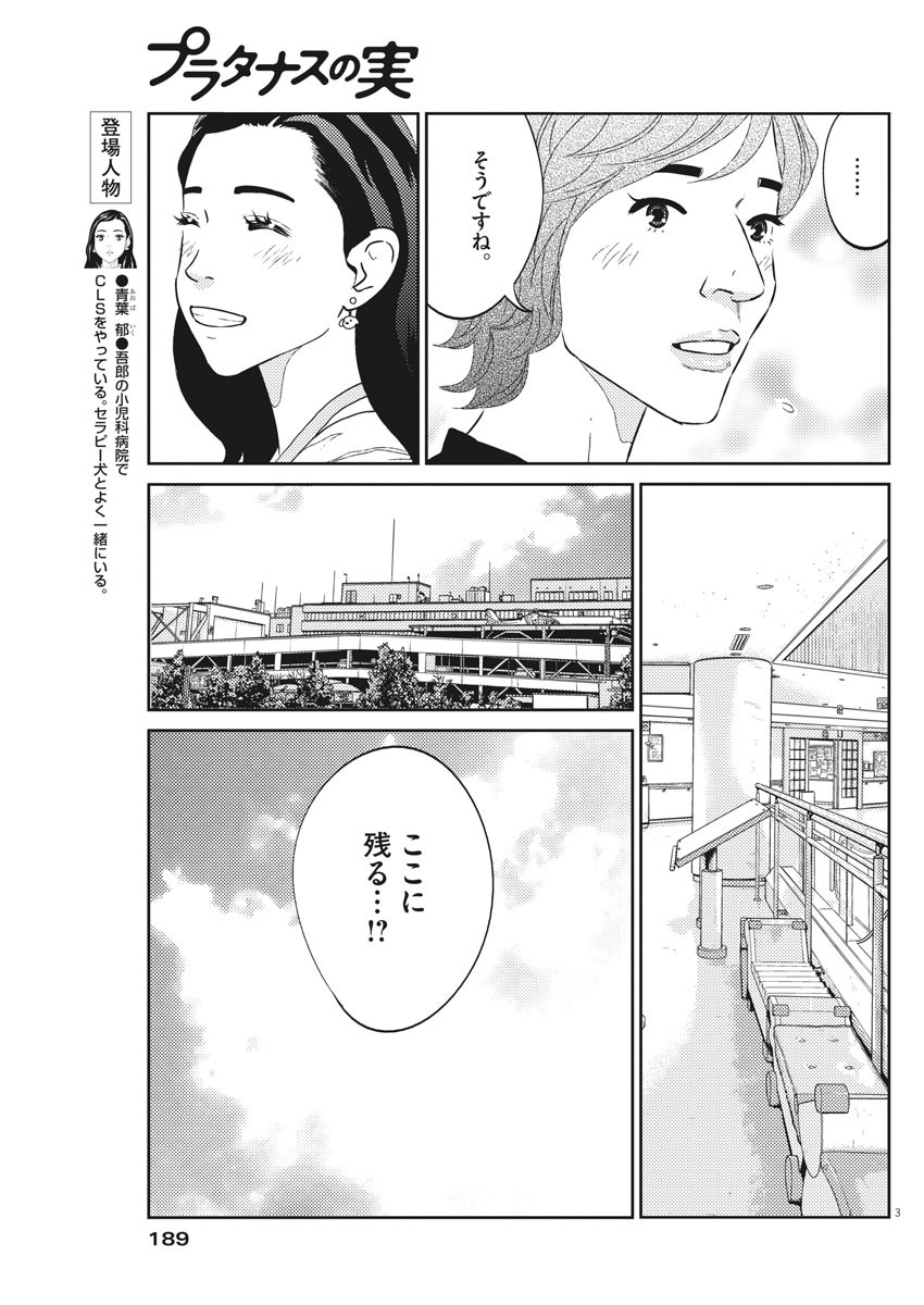 プラタナスの実−小児科医療チャンネル− 第44話 - Page 3