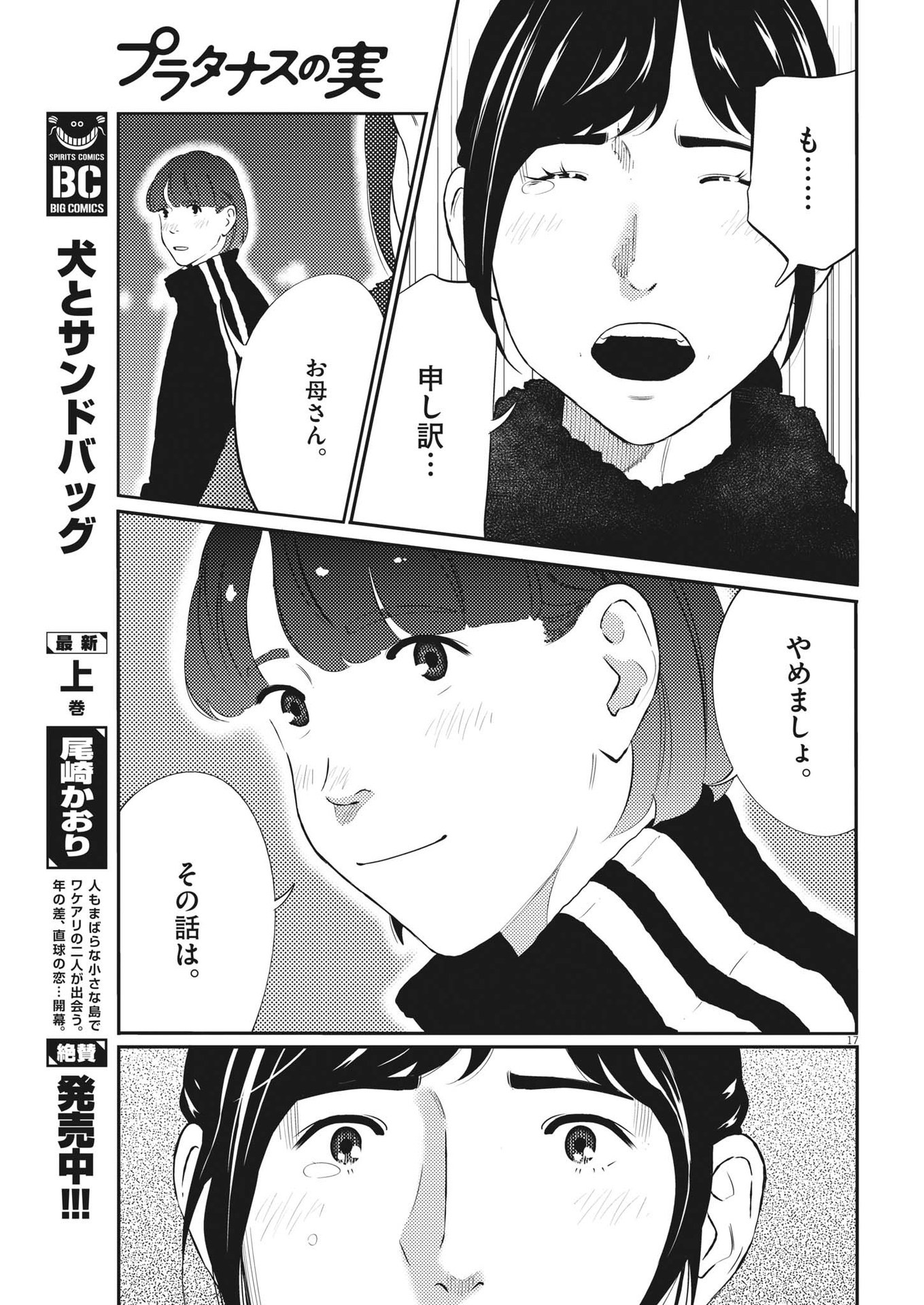 プラタナスの実−小児科医療チャンネル− 第78話 - Page 17