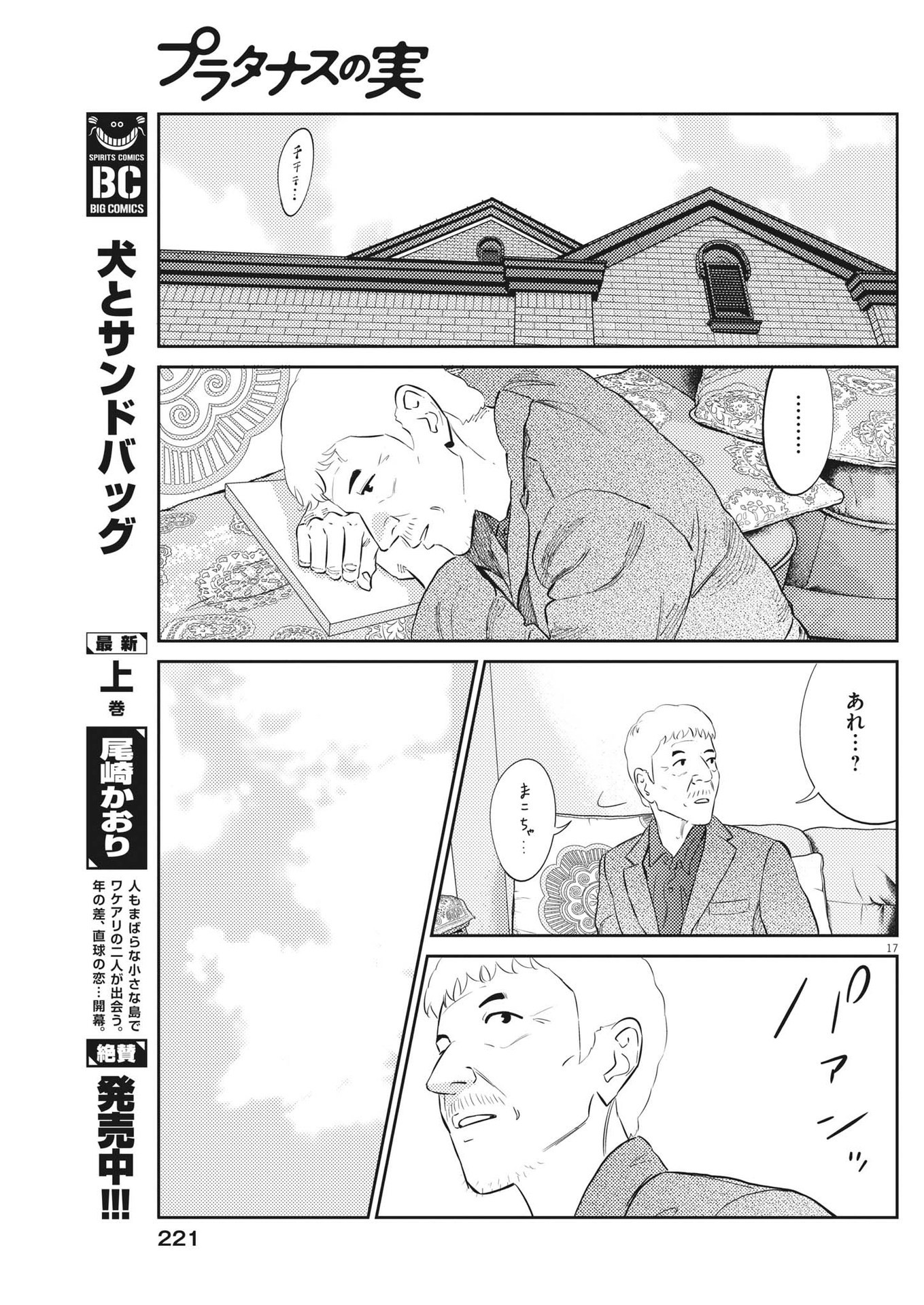 プラタナスの実−小児科医療チャンネル− 第87話 - Page 17