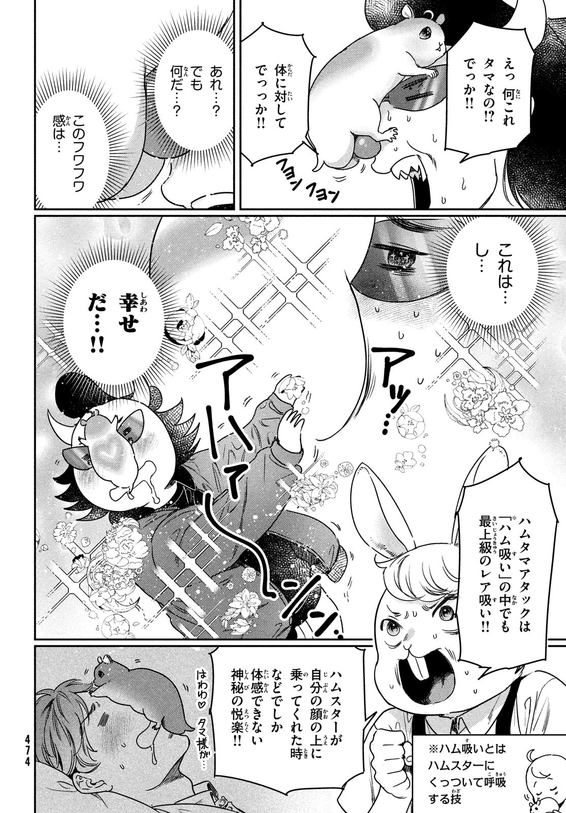 しかのこのこのここしたんたん 第33話 - Page 31