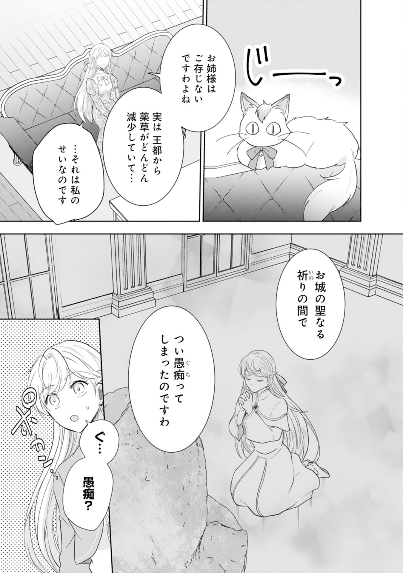 最上級の聖女らしいですが、竜王様の花嫁にはなりません！ 第8話 - Page 7