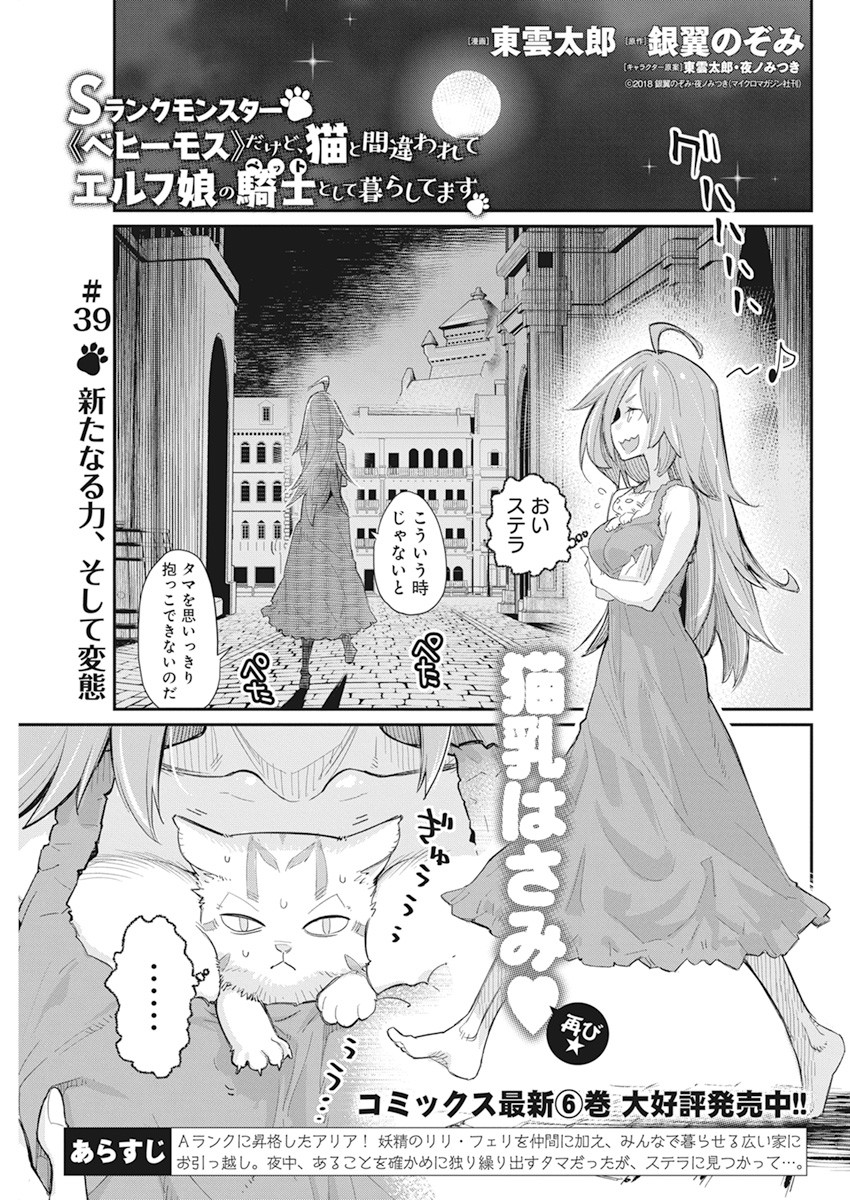 Sランクモンスターの《ベヒーモス》だけどネコと間違われてエルフ娘の騎士として暮らしています 第39話 - Page 1