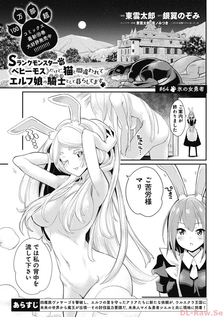 Sランクモンスターの《ベヒーモス》だけどネコと間違われてエルフ娘の騎士として暮らしています 第64話 - Page 1