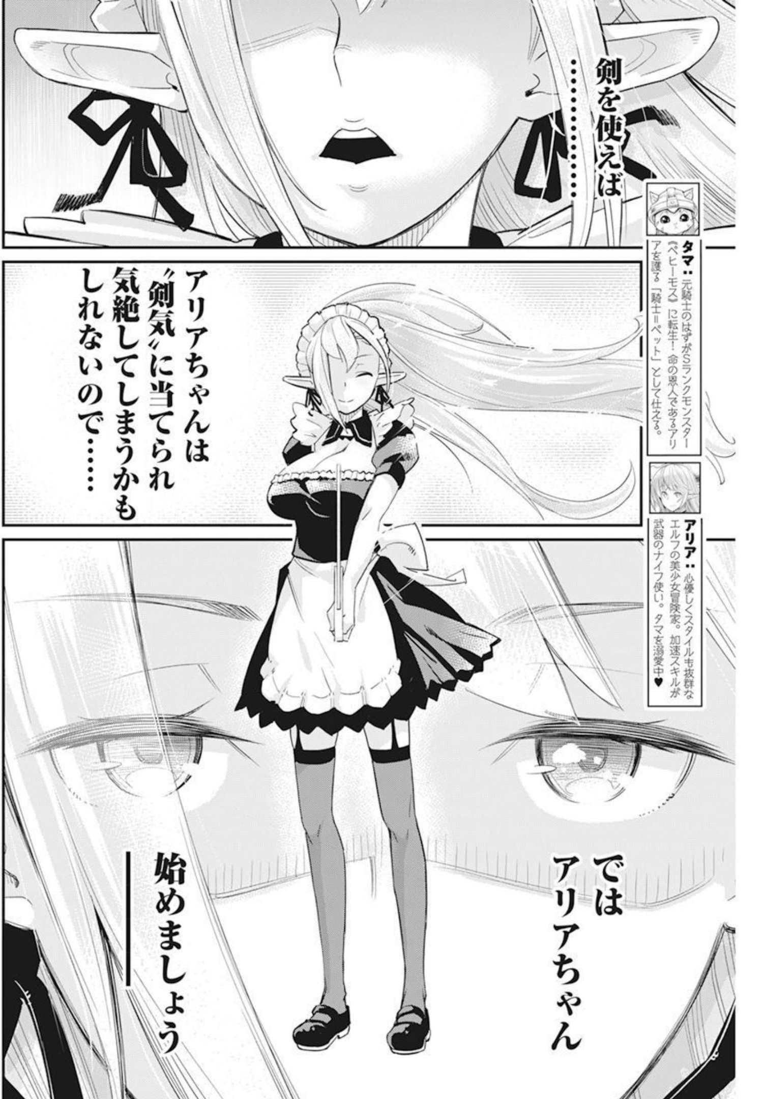 Sランクモンスターの《ベヒーモス》だけどネコと間違われてエルフ娘の騎士として暮らしています 第46話 - Page 2