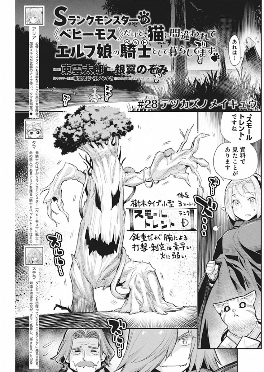 Sランクモンスターの《ベヒーモス》だけどネコと間違われてエルフ娘の騎士として暮らしています 第28話 - Page 1