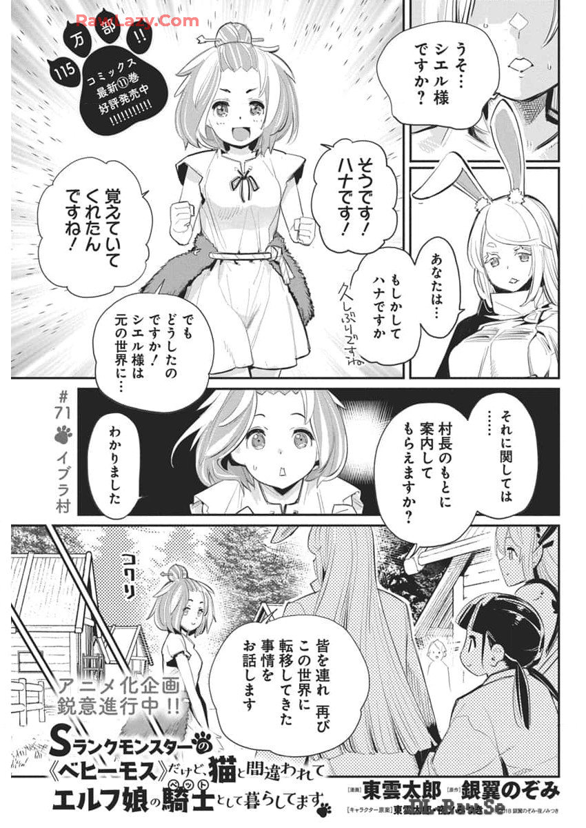 Sランクモンスターの《ベヒーモス》だけどネコと間違われてエルフ娘の騎士として暮らしています 第71話 - Next 第72話