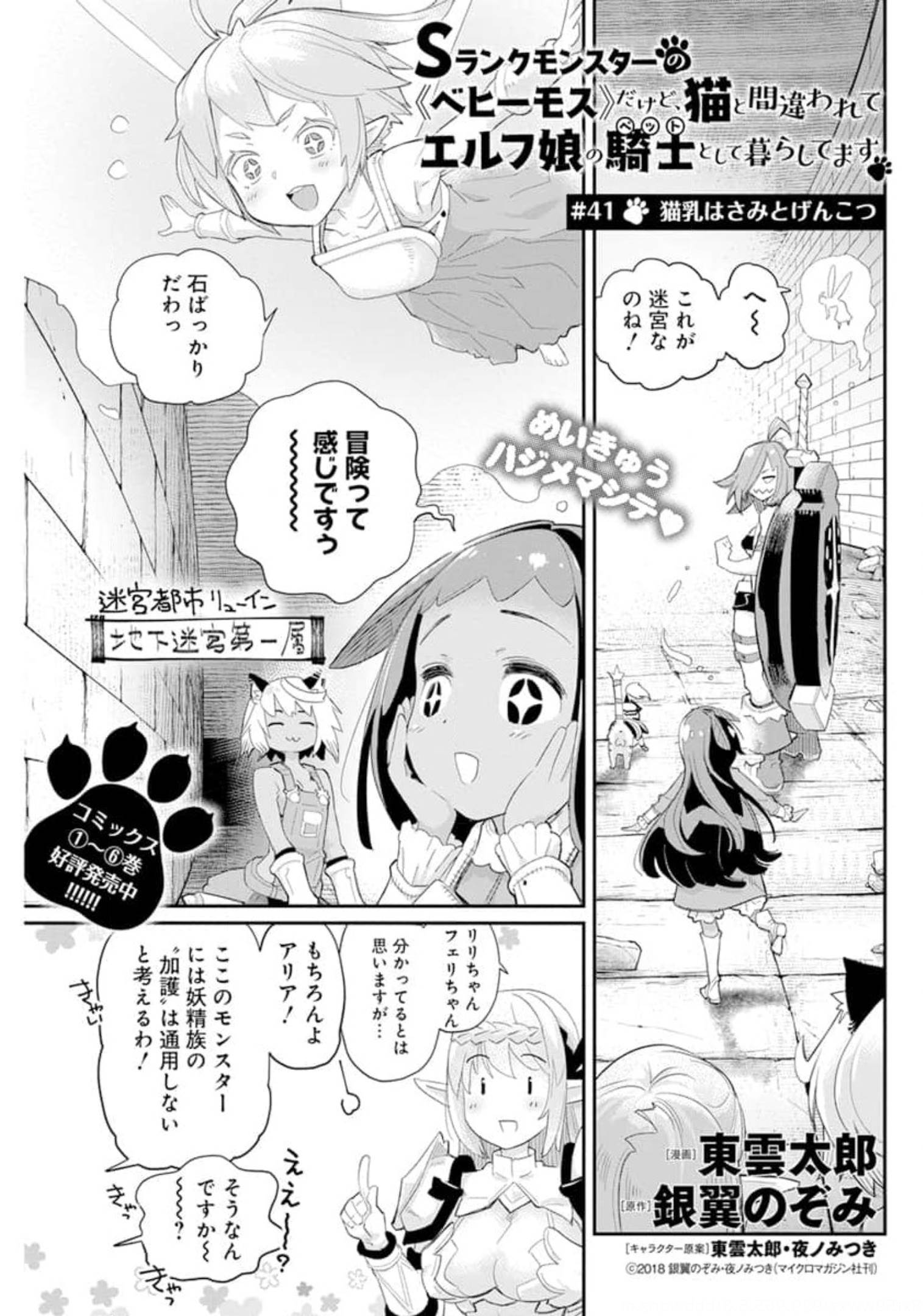 Sランクモンスターの《ベヒーモス》だけどネコと間違われてエルフ娘の騎士として暮らしています 第41話 - Page 1