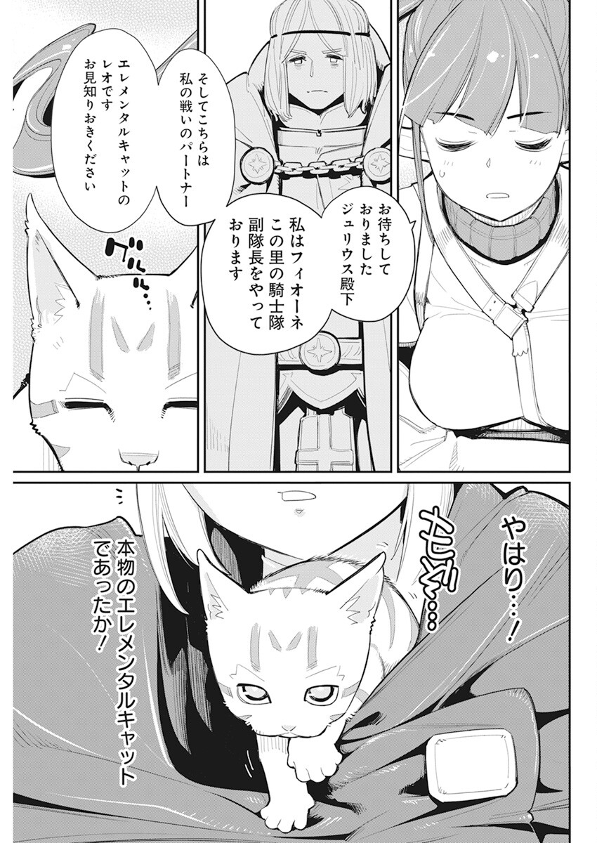 Sランクモンスターの《ベヒーモス》だけどネコと間違われてエルフ娘の騎士として暮らしています 第54話 - Page 7