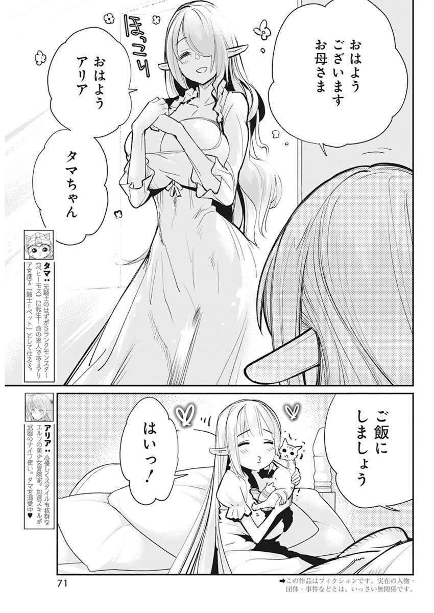 Sランクモンスターの《ベヒーモス》だけどネコと間違われてエルフ娘の騎士として暮らしています 第56話 - Page 3