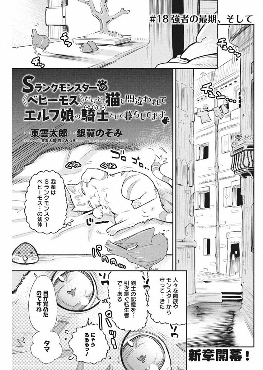 Sランクモンスターの《ベヒーモス》だけどネコと間違われてエルフ娘の騎士として暮らしています 第18話 - Page 1