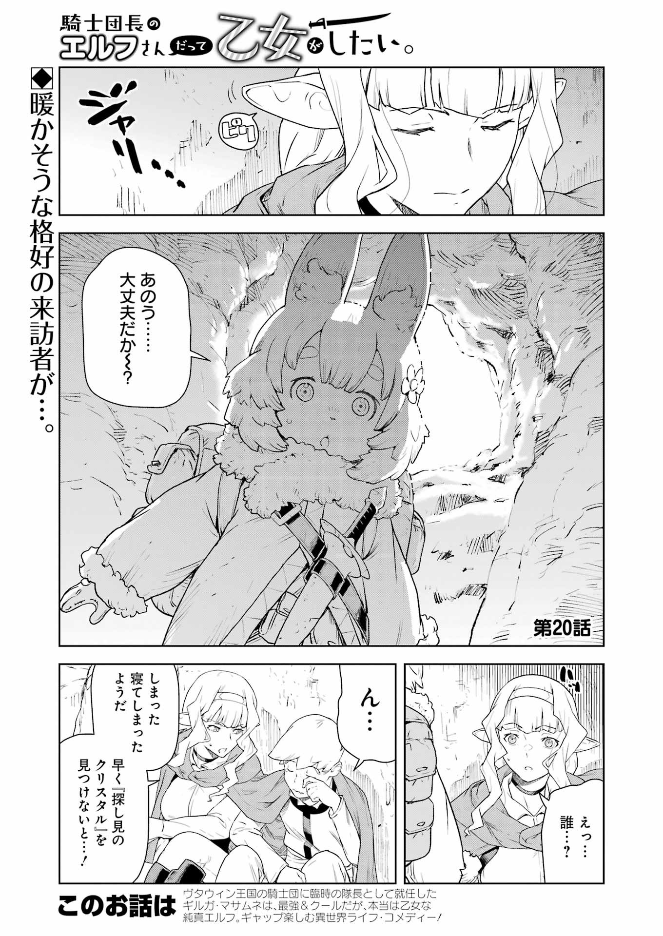 騎士団長のエルフさんだって乙女がしたい。 第20話 - Page 1