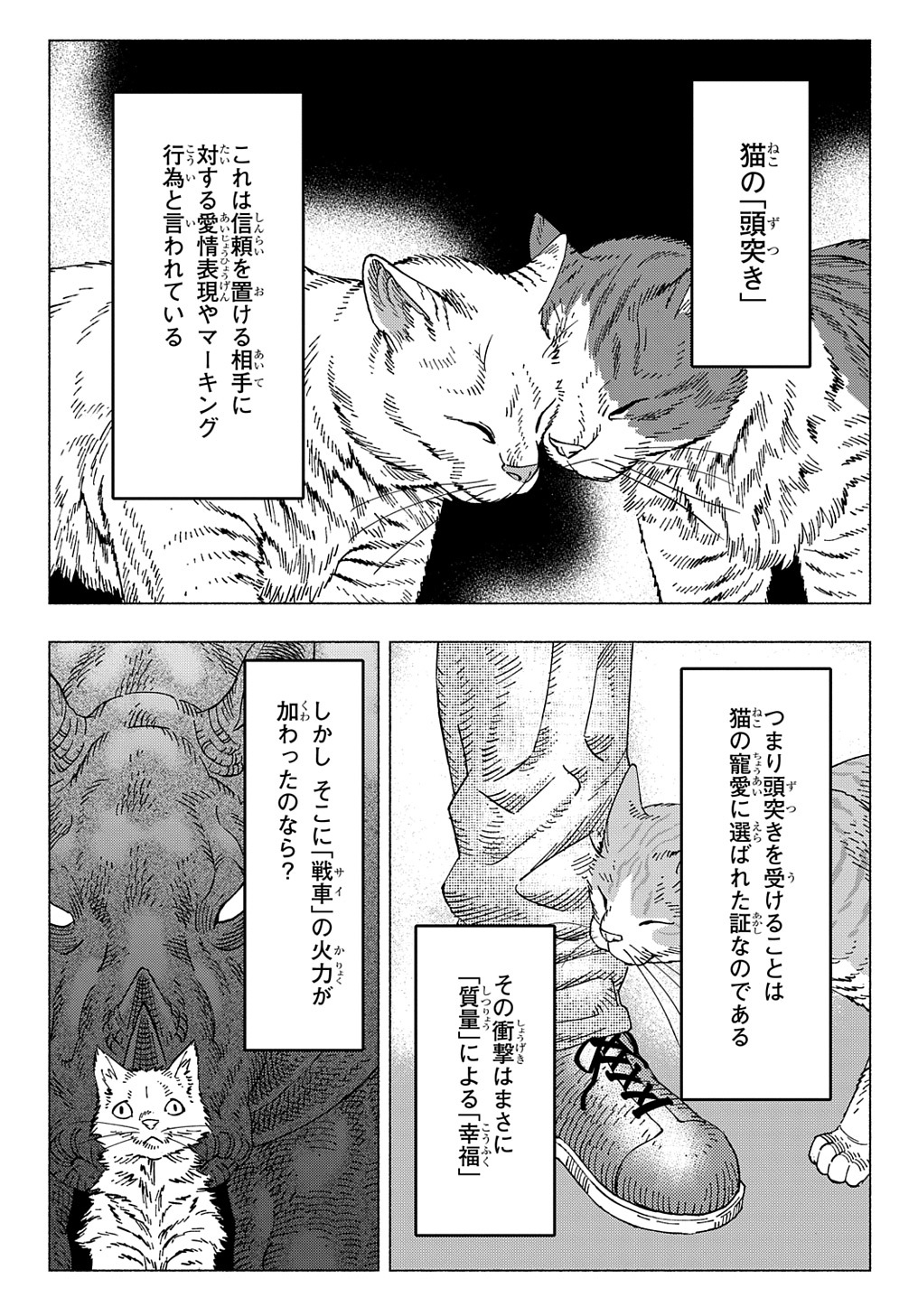 ニャイト・オブ・ザ・リビングキャット 第16話 - Page 17