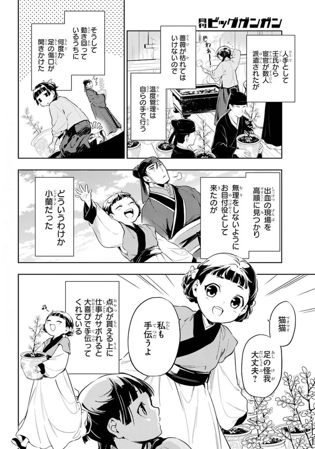 薬屋のひとりごと 第36.1話 - Page 10