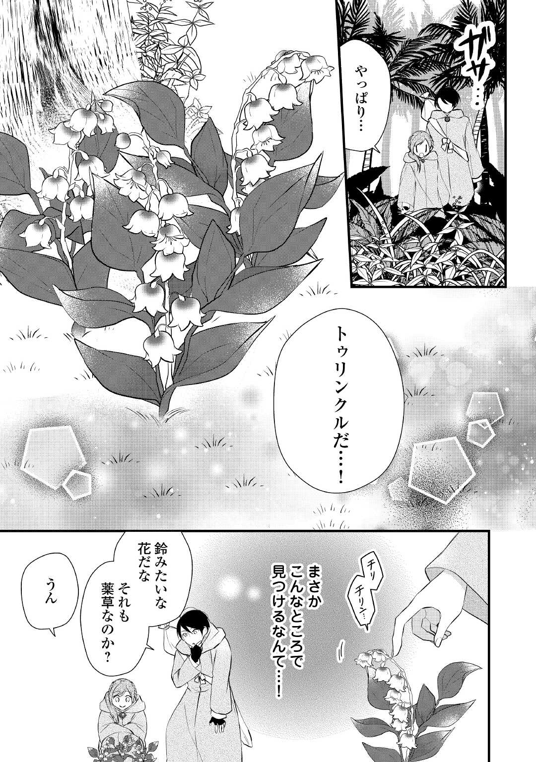 Eランクの薬師 第29話 - Page 3