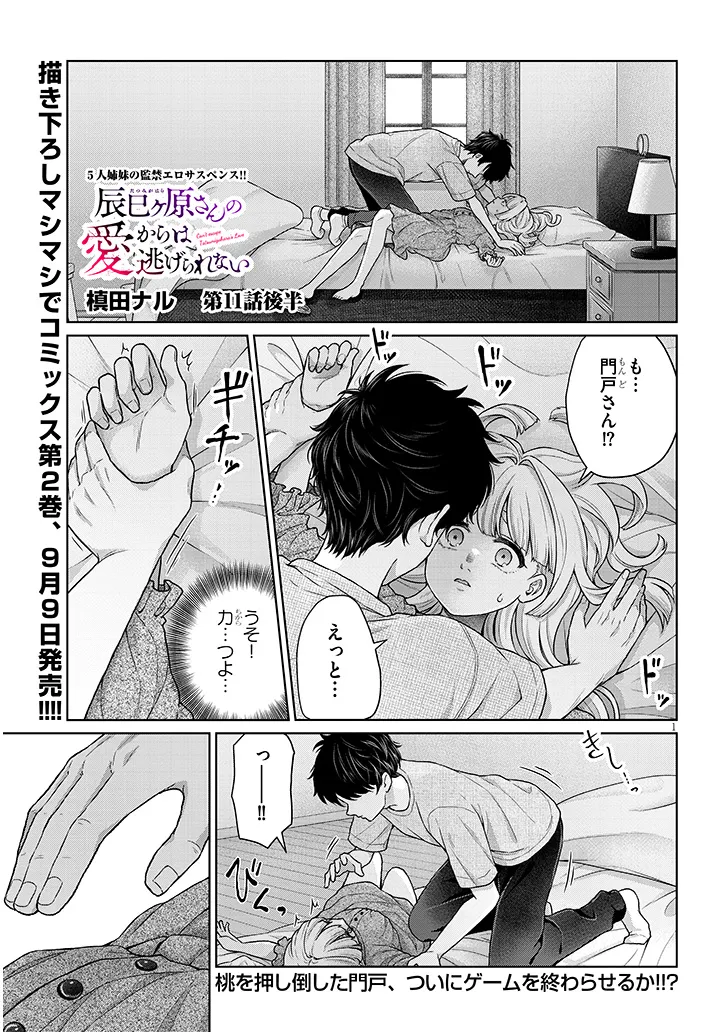 辰巳ヶ原さんの愛からは逃げられない 第11.2話 - Page 1