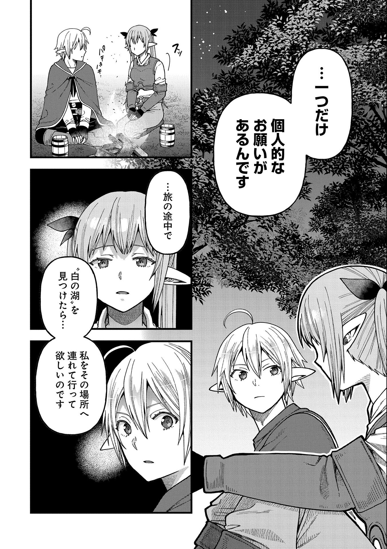 転生してハイエルフになりましたが、スローライフは120年で飽きました 第23話 - Next 第24話