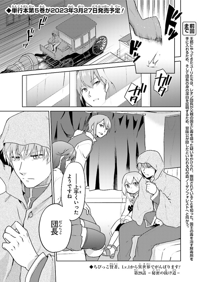 ちびっこ賢者、Lv.1から異世界でがんばります！ 第29話 - Page 1