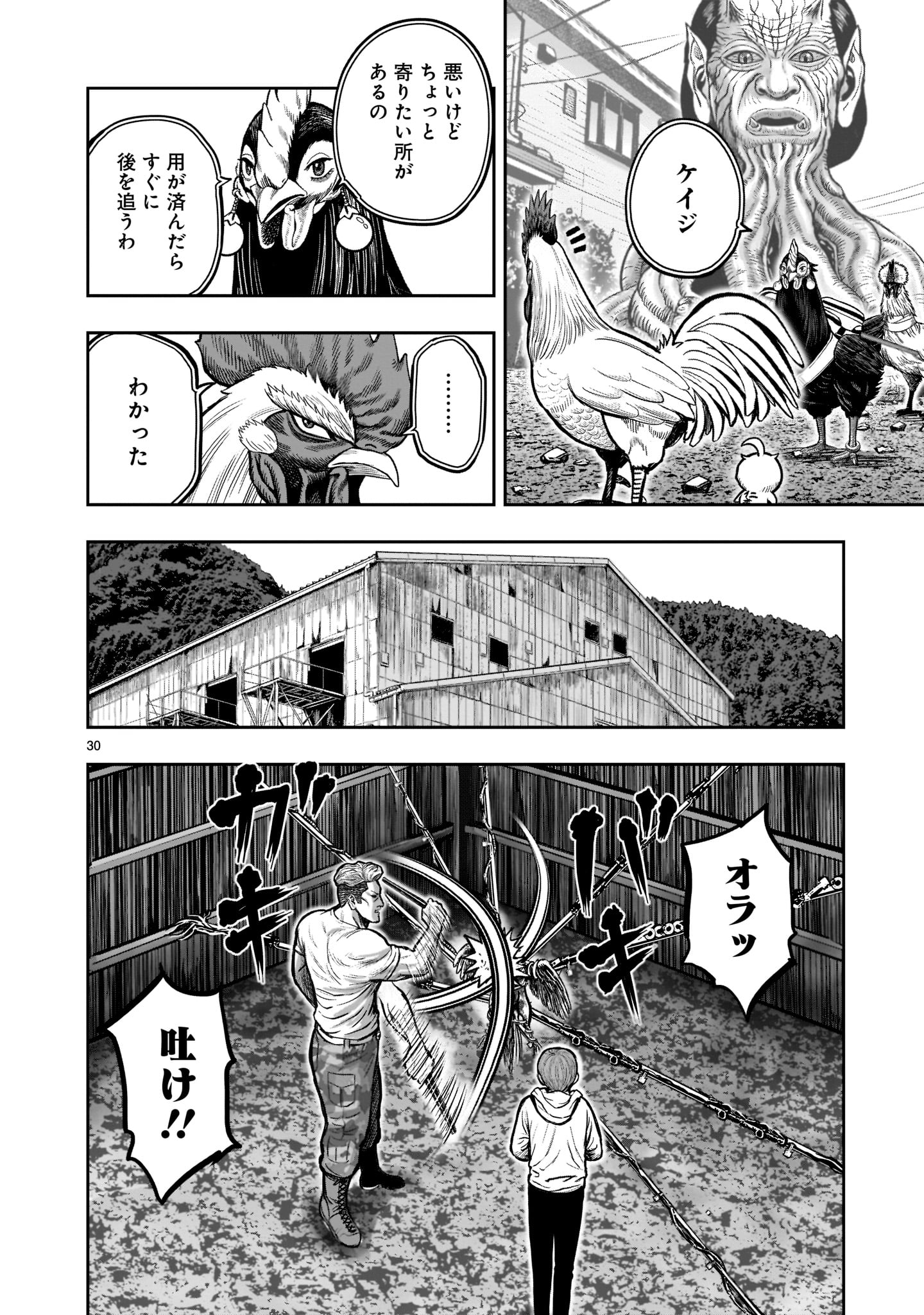 ニワトリ・ファイター 第21話 - Page 30