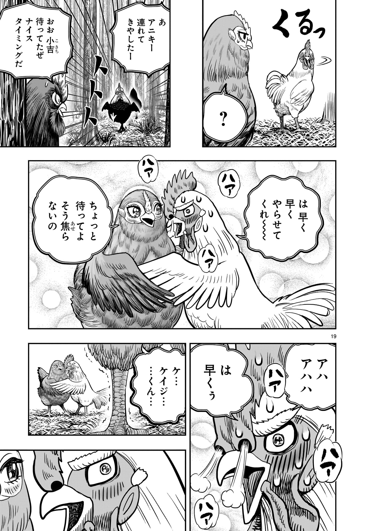 ニワトリ・ファイター 第36.5話 - Page 19