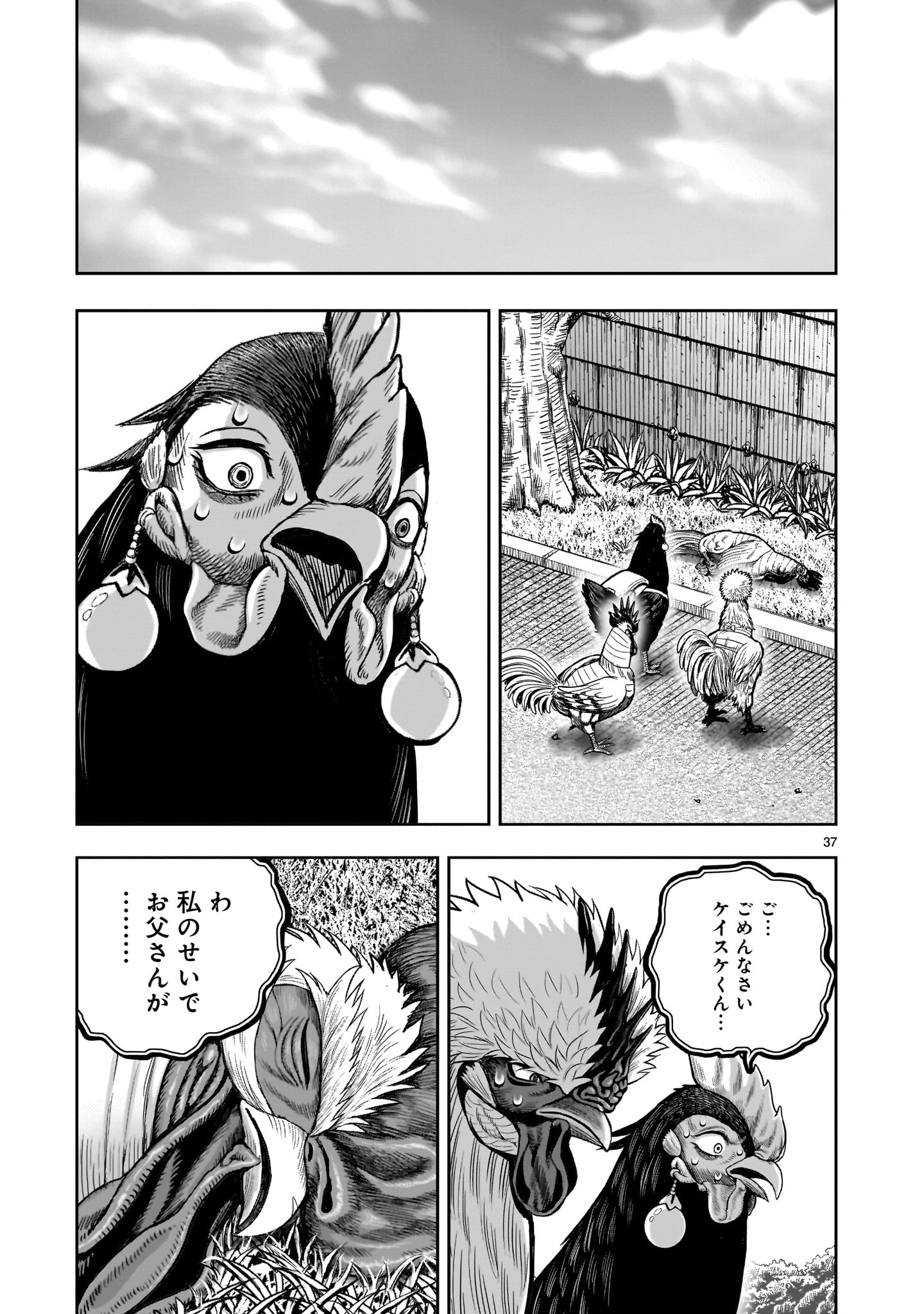 ニワトリ・ファイター 第34話 - Page 37