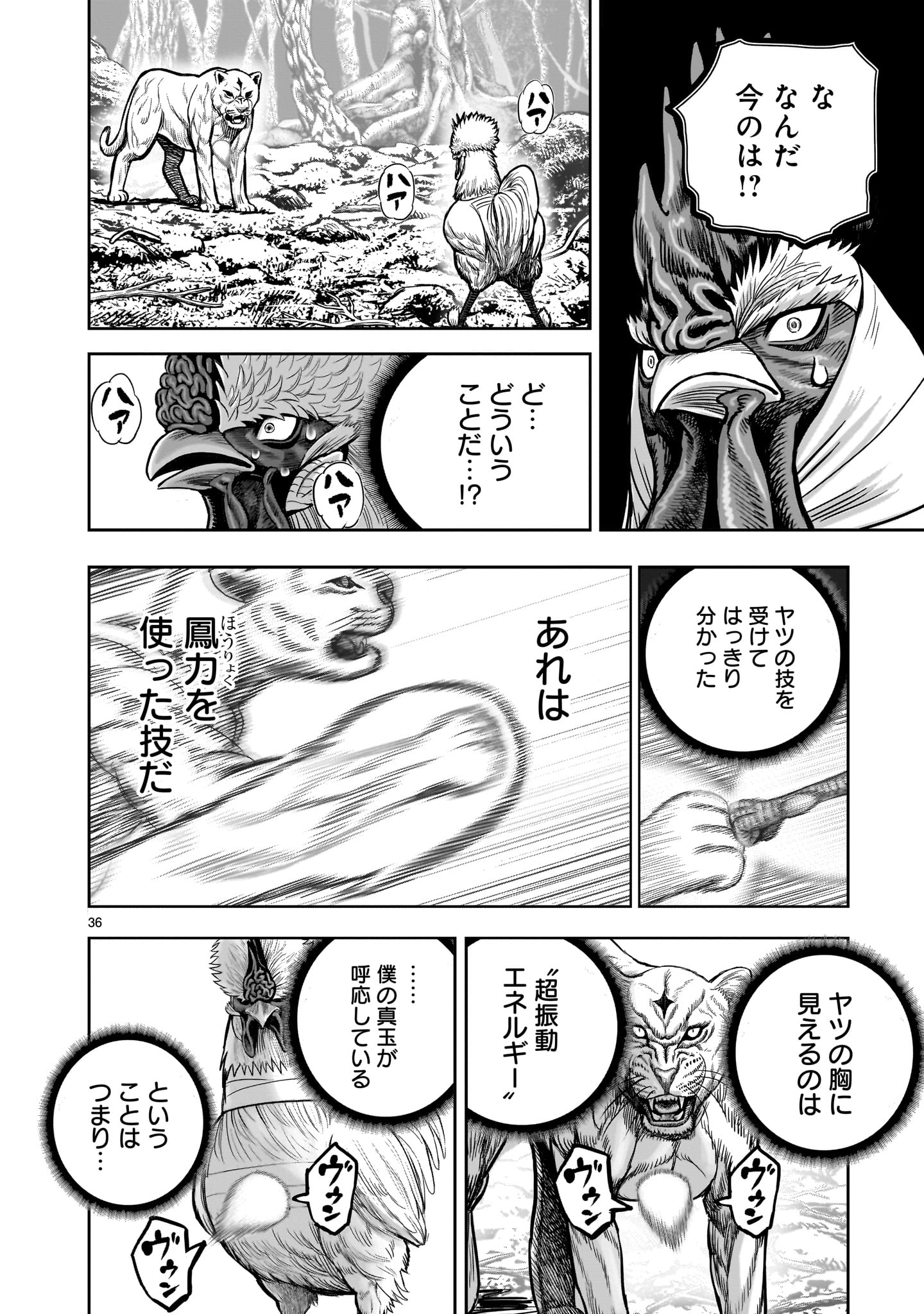ニワトリ・ファイター 第37話 - Page 36