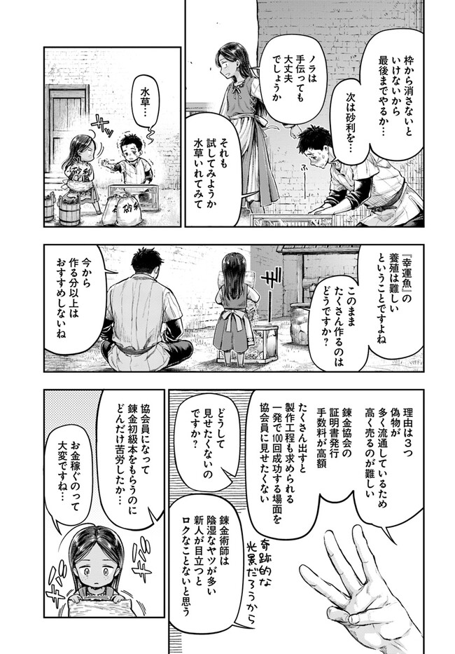 ニセモノの錬金術師 第2.3話 - Page 9