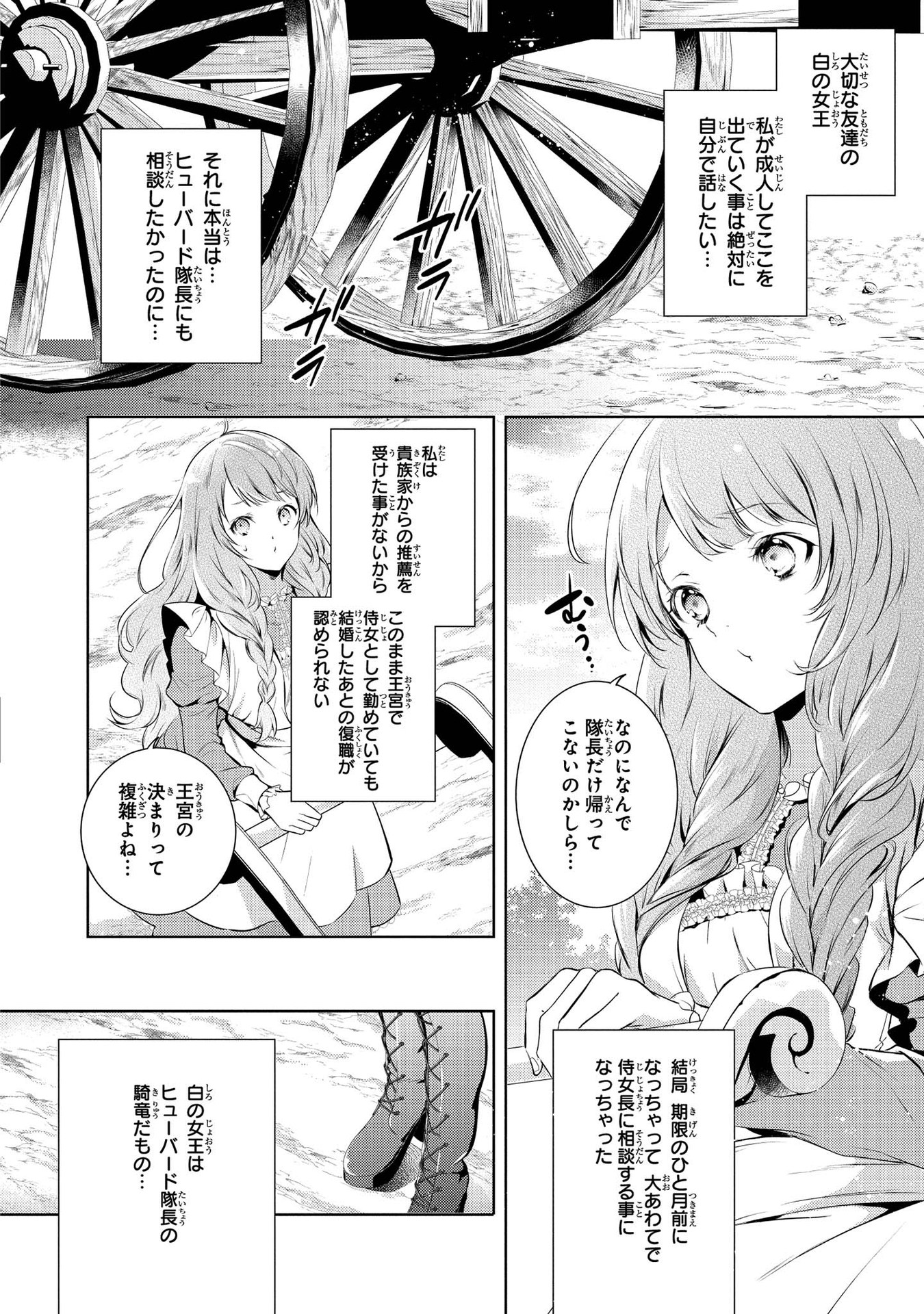 竜騎士のお気に入り 第1話 - Page 19