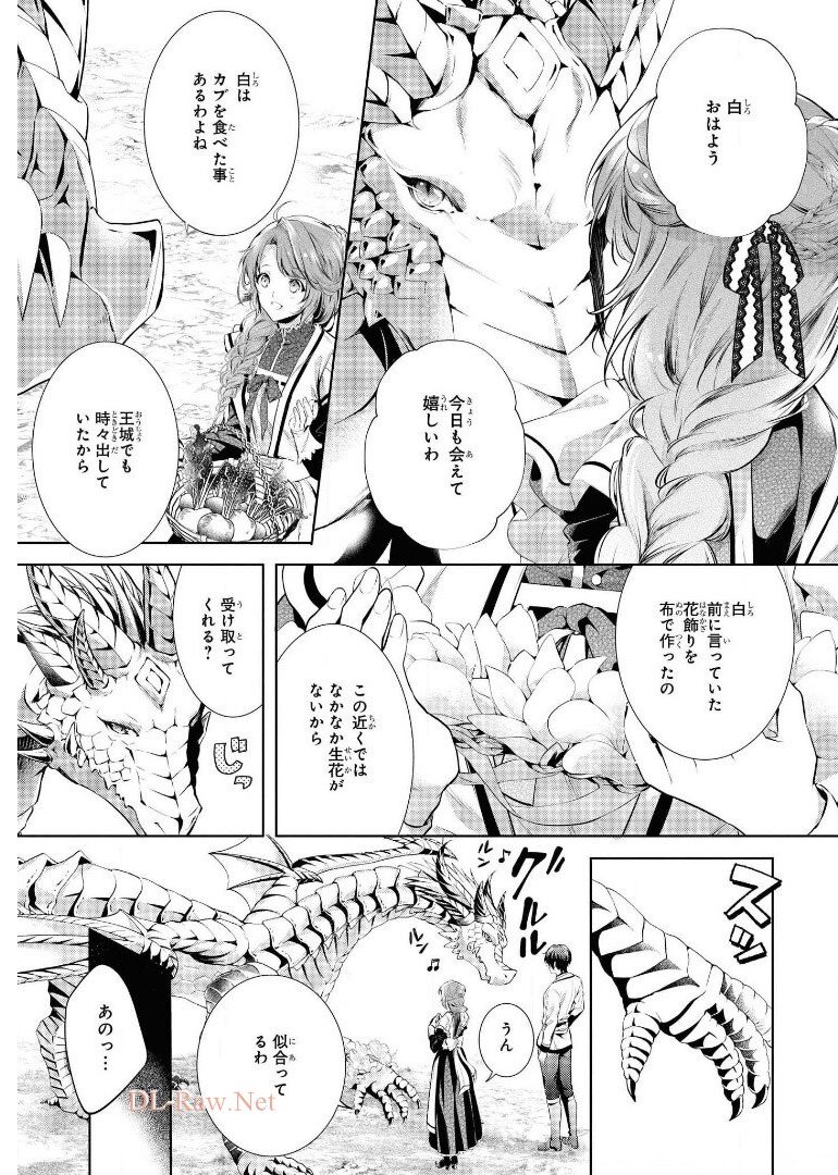 竜騎士のお気に入り 第19話 - Page 11