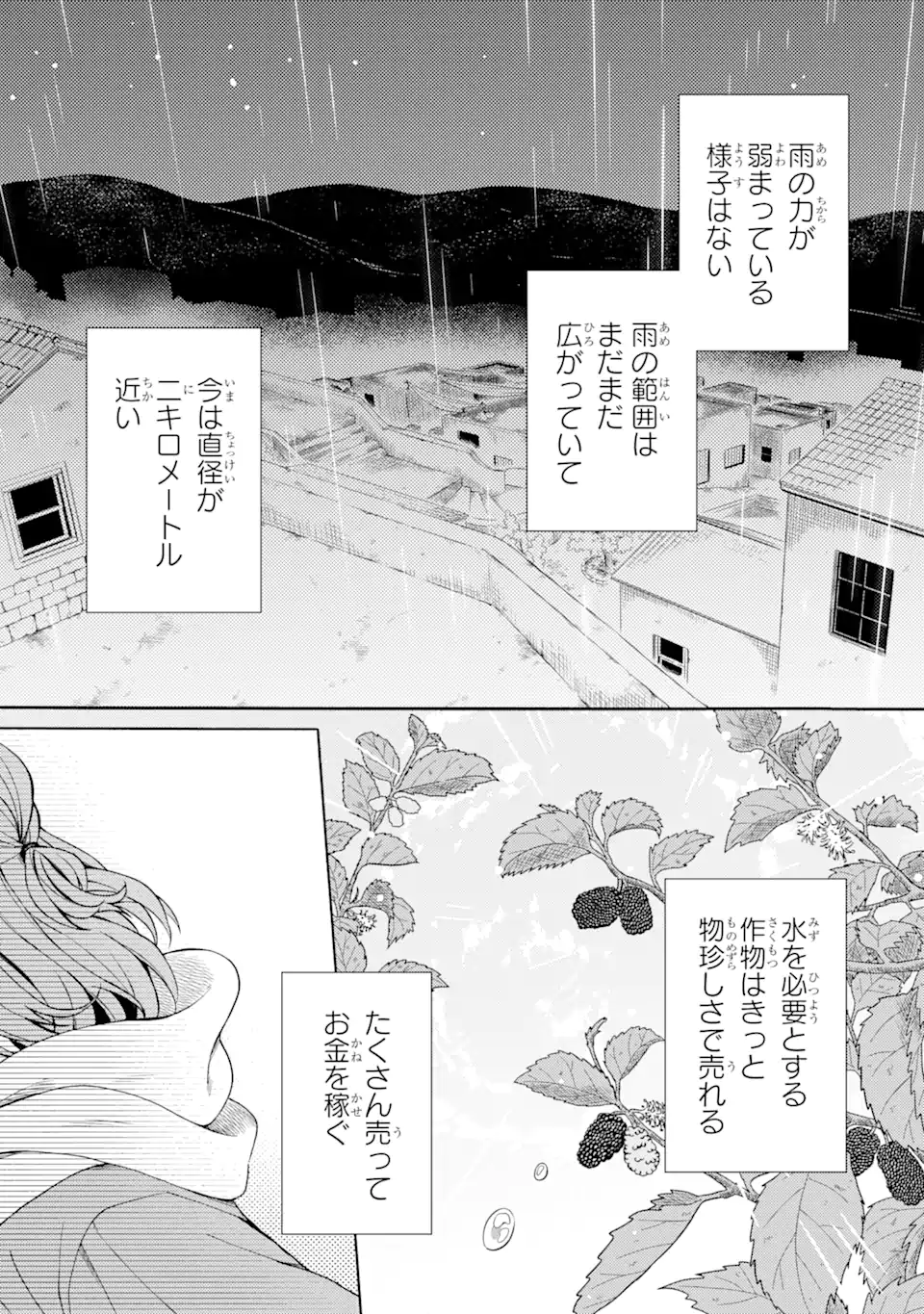 砂漠の国の雨降らし姫～前世で処刑された魔法使いは農家の娘になりました～ 第8.1話 - Page 3