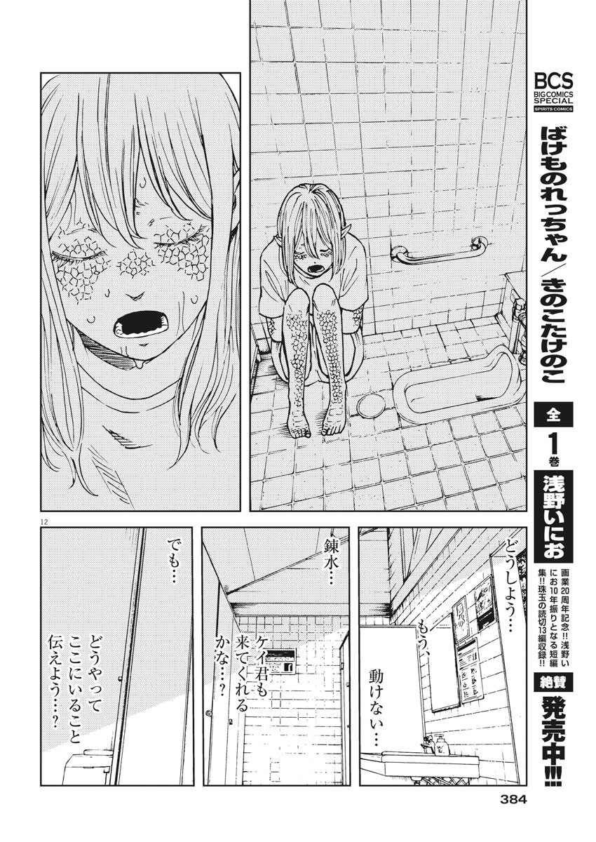 パッカ 第33話 - Page 12